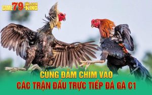 Cùng Đắm Chìm Vào Các Trận Đấu Trực Tiếp Đá Gà C1