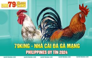 79king - Nhà Cái Đá Gà Mạng Philippines Uy Tín 2024