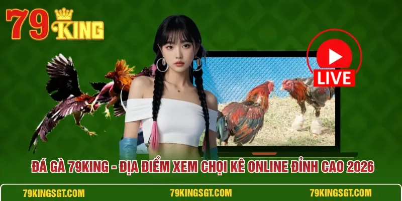 Bình luận viên và lịch phát trực tiếp các trận chọi kê trên nền tảng
