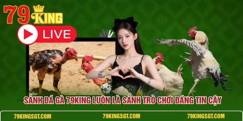 Các loại hình đá cựa sắt, đá dao và kèo cược chọi kê