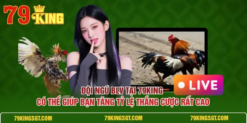 Các sới đấu GA28, AOG và WS168 phát trận chọi kê trực tuyến
